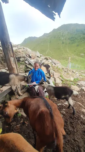 Noa im Nachtgebirge